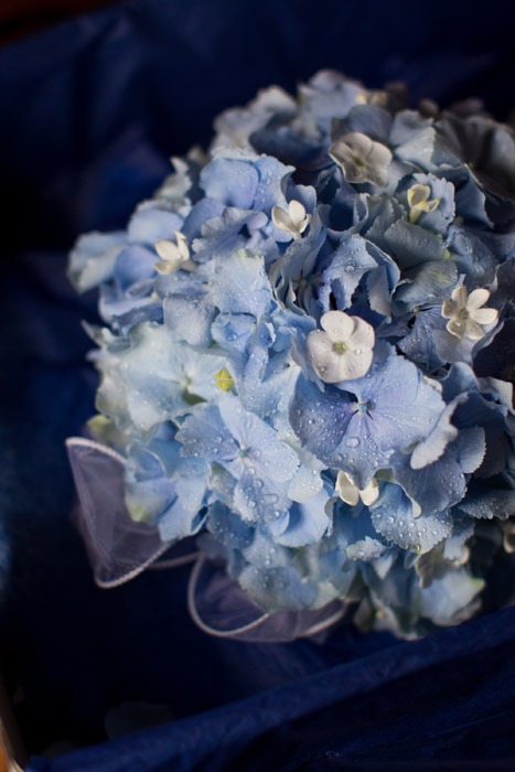 Photo of a wedding bouquet of blue hydrangeas