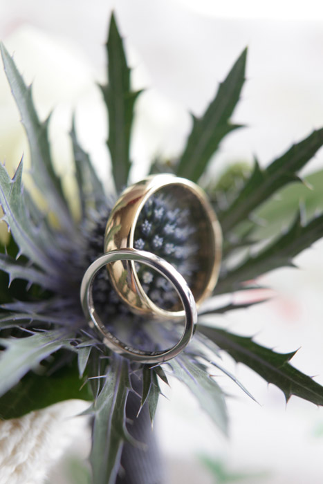 Photo of sea thistle with gold and platinum wedding rings