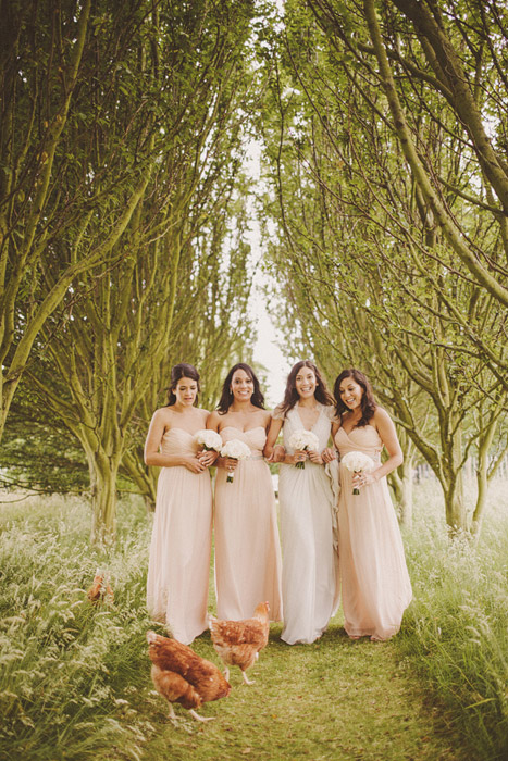 Photo of bride in white dress and bridesmaids in pale peach dresses on a path through trees with brown chickens