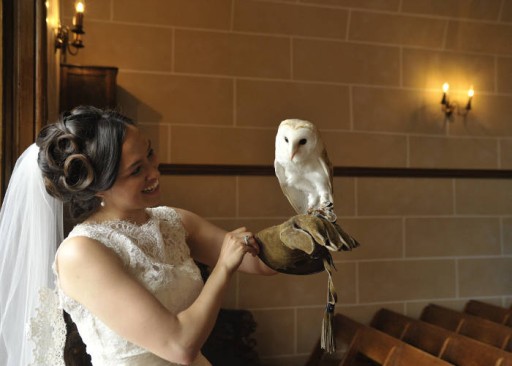 Photo of smiling bride wearing falconry glove and holding owl